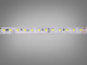  LED стрічка 220в, 120штм, герметична, 10мм, холодний  2 