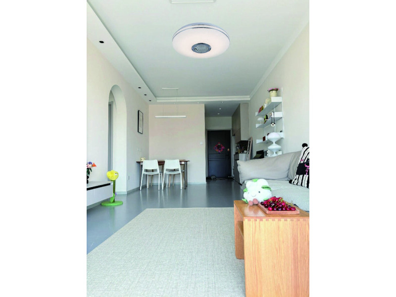 Світлодіодний музичний світильник смарт LY365-400 WH для спальні та дитячої кімнати 48W+5W RGB Білий